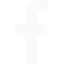 facebookIcon